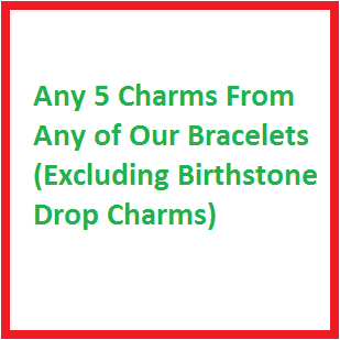 Any Charm (Excluding Birthstone Drop Charm)