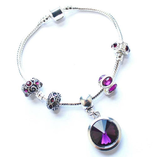 Teenager's 'February Birthstone' Amethyst Colored Crystal Silver Plated Charm Bead Bracelet